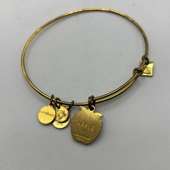 Alex and Ani charm bangle bracelets stretch 5 different colors and wear - Picture 6 of 16